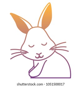 Cute rabbit icon