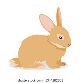 Cute rabbit icon isolated, small fluffy pet with long ears, domestic animal, vector illustration in flat style