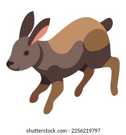 Cute rabbit icon isometric vector. Dutch pet. Breed bunny