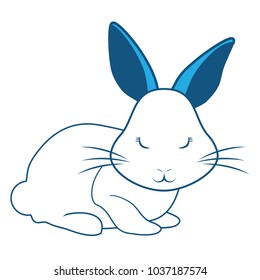 cute rabbit icon over white background, blue shading design. vector illustration