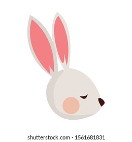 cute rabbit icon over white background, vector illustration