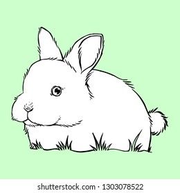 Cute Rabbit Illustration, Hand drawn Style, isolated Vector