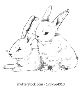 Cute Rabbit Illustration, Hand drawn Style, isolated Vector