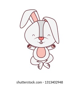 cute rabbit isolated icon