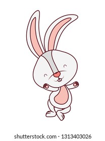 cute rabbit isolated icon