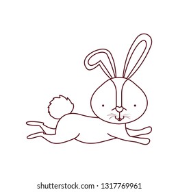 cute rabbit isolated icon