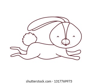 cute rabbit isolated icon