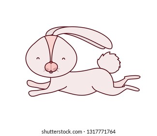 cute rabbit isolated icon