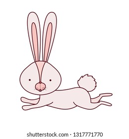 cute rabbit isolated icon
