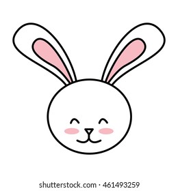 cute rabbit isolated icon design, vector illustration graphic