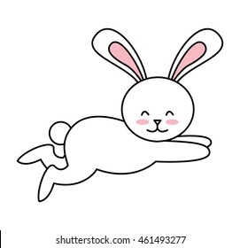 cute rabbit isolated icon design, vector illustration graphic