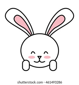 cute rabbit isolated icon design, vector illustration graphic
