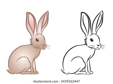 Cute rabbit isolated on white background. One illustration in color and the other in black and white. Animal symbol of Easter.