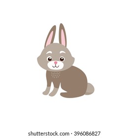 cute rabbit isolated on white background