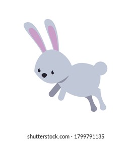 cute rabbit jump flat style icon vector illustration design