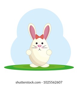 cute rabbit in landscape