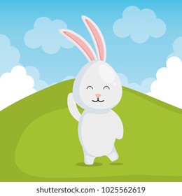 cute rabbit in landscape