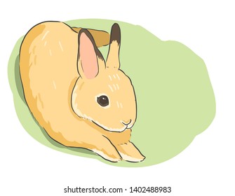 cute rabbit lay down vector ,realistic water color