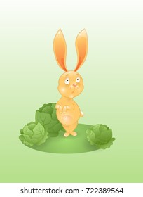 The cute rabbit with long ears and cabbage