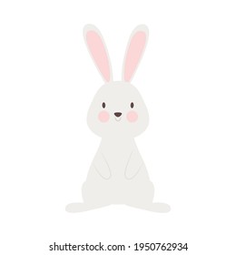cute rabbit on white background