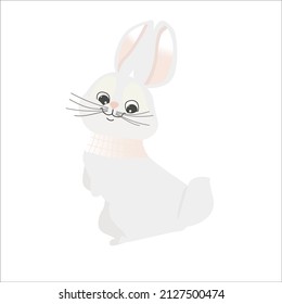 a cute rabbit on white background