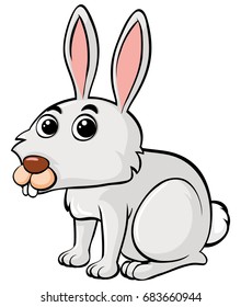 Cute rabbit on white background illustration