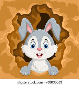 Cute rabbit out of the hole 