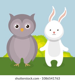 cute rabbit and owl in the field landscape characters