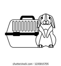 cute rabbit and pet cage