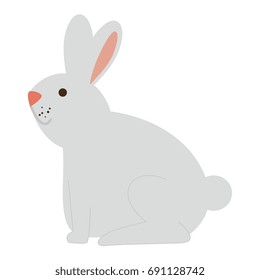 cute rabbit pet icon
