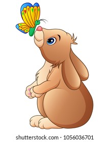 Cute rabbit playing with butterfly isolated on a white background