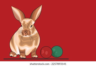 Cute Rabbit Poses Cartoon Vector Illustration.