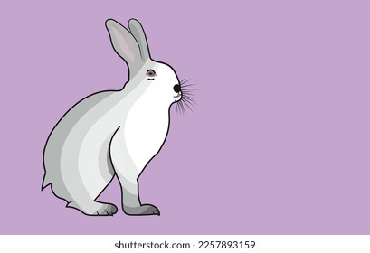 Cute Rabbit Poses Cartoon Vector Illustration.