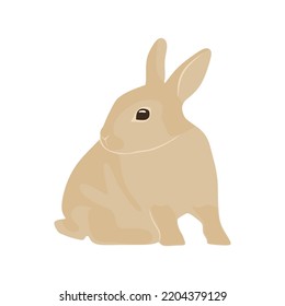 Cute rabbit posing. Illustration of a beautiful rabbit isolated on a white background. Rabbit Vector illustration. eps10