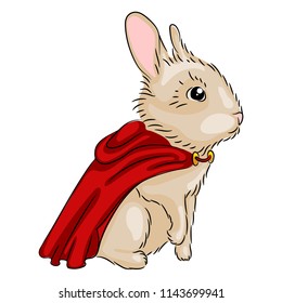 Cute rabbit in a red raincoat. Draw lines
