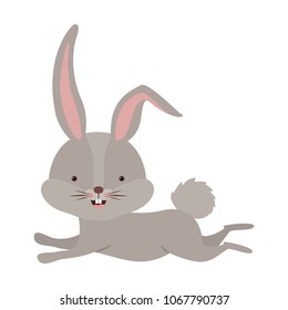 cute rabbit running easter celebration