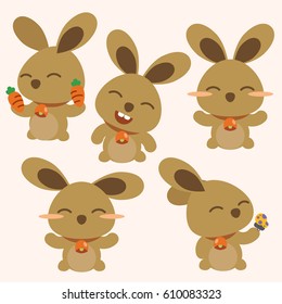 cute rabbit set