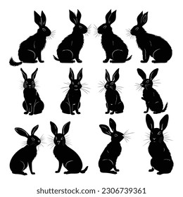 Cute Rabbit silhouette gesture compilation