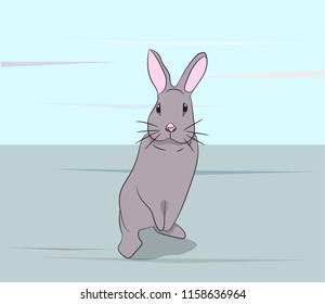 cute rabbit sitting, hare gray vector, outdoor, snow