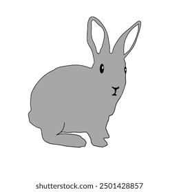 cute rabbit sitting on the floor isolated white background
