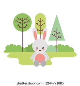 cute rabbit sitting in the outdoors