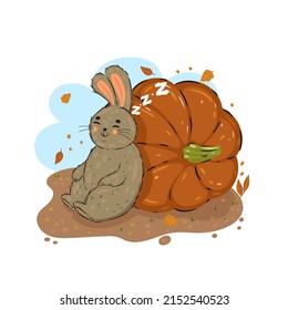 Cute rabbit sleep leaning on a pumpkin. Vector graphics.