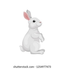Cute rabbit standing on hind legs, side view. Adorable animal with white coat, long ears and short tail. Flat vector icon