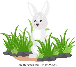 Cute rabbit standing on meadow.