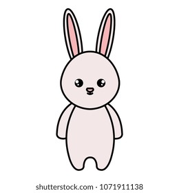 cute rabbit tender character