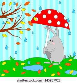 Cute rabbit under umbrella
