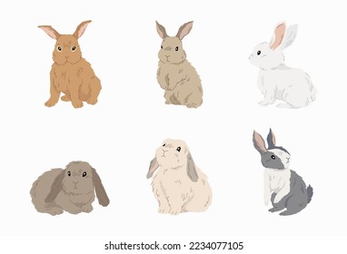 Cute Rabbit vector in flat design