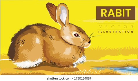 Cute rabbit vector illustration drawing  