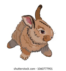 Cute rabbit vector illustration isolated on white background. Cartoon Easter bunny.