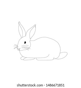 Cute Rabbit vector illustration outline. Coloring book with animal. black and white. white background. ready for print.
